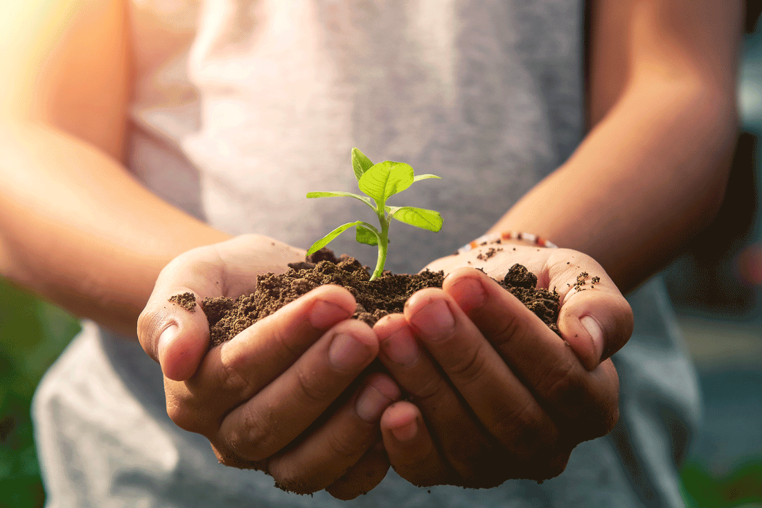 Pourquoi s'orienter vers des produits plus écologiques et recyclables ?