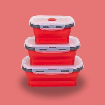 Lot de 4 lunchbox pliables